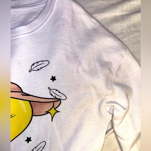 Swaggy Tweety Bird “So cute, So sweet” Pullover - Picture 1 of 6
